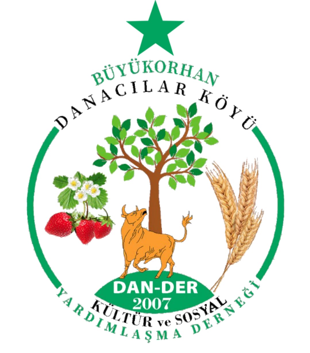 BURSAPARK DANACILARSPOR