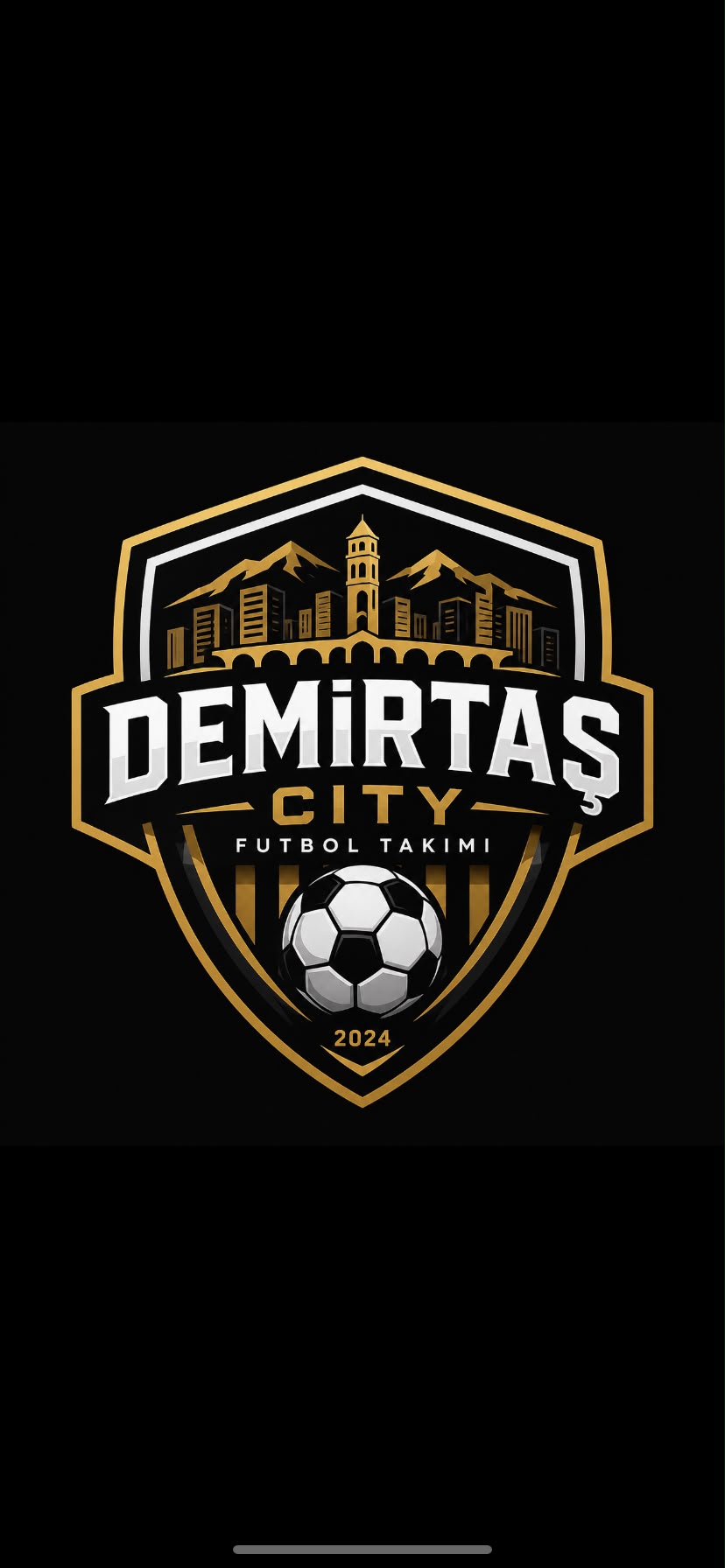 DEMİRTAŞ CİTY