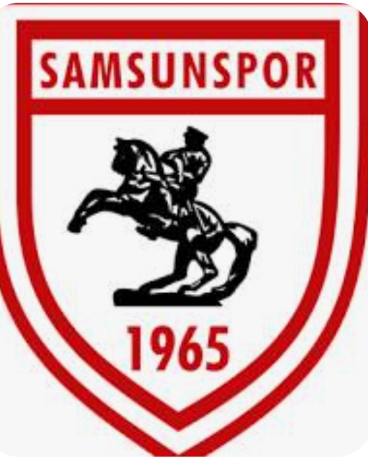 SAMSUNSPOR
